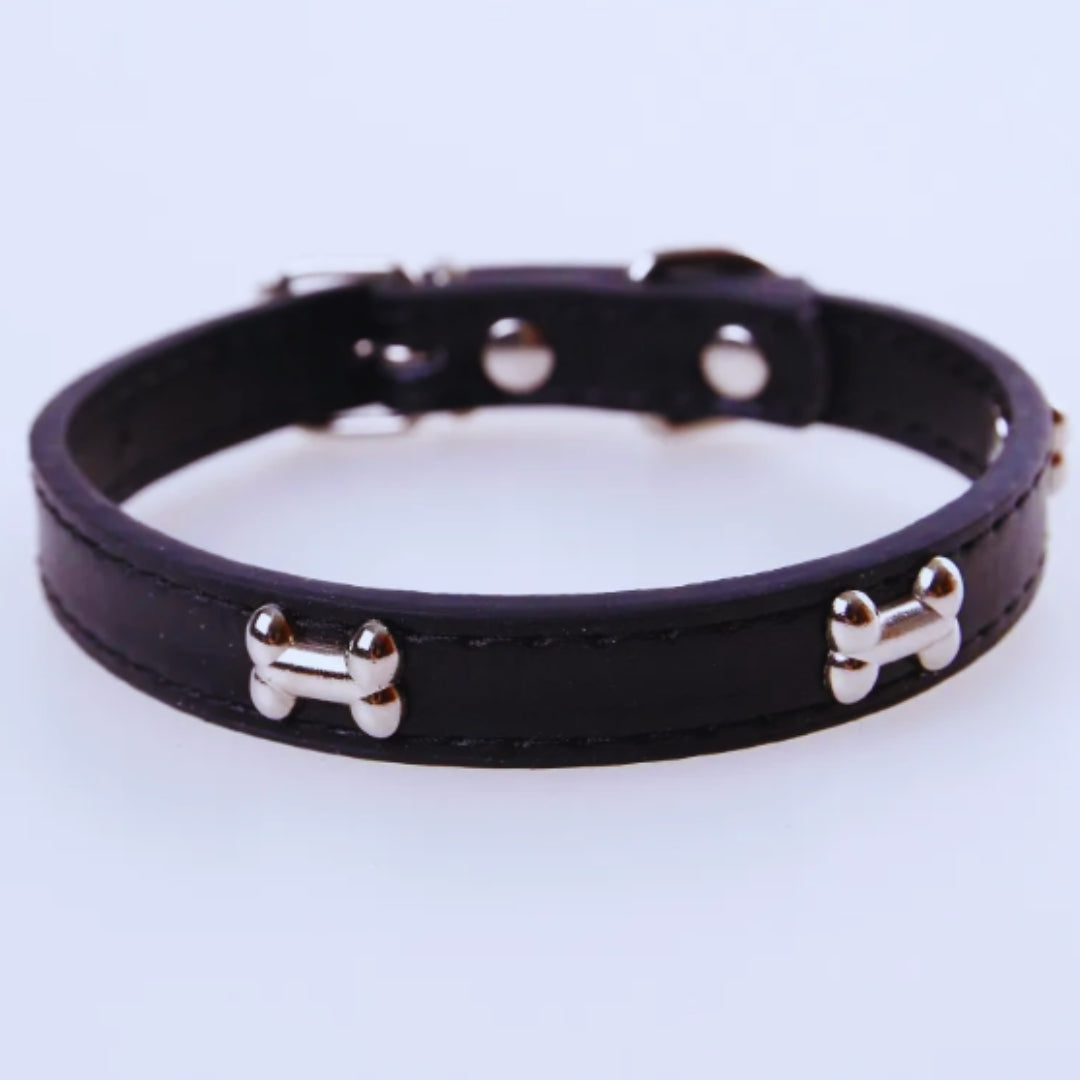 Hundehalsband mit Knochen-Nieten für kleine und mittelgroße Hunde