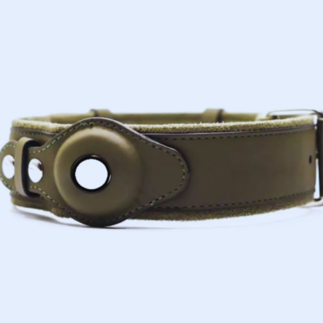 Leder Hundehalsband mit O-Ring – Verstellbares Hundehalfter In Verschiedenen Farben