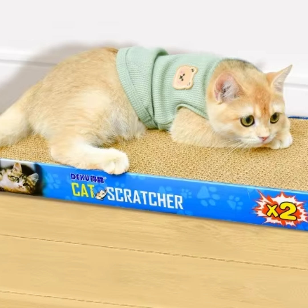 Kratzbrett für Katzen mit Ersatzpads Nachhaltiges Wellpappe Design