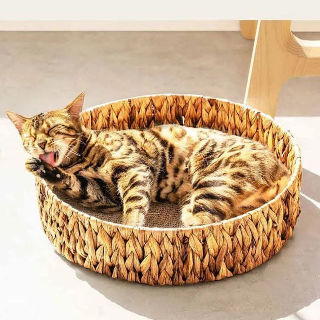 Weidenkorb Katzenbett – Natürliche Schlafmatte für Katzen und Kleine Hunde