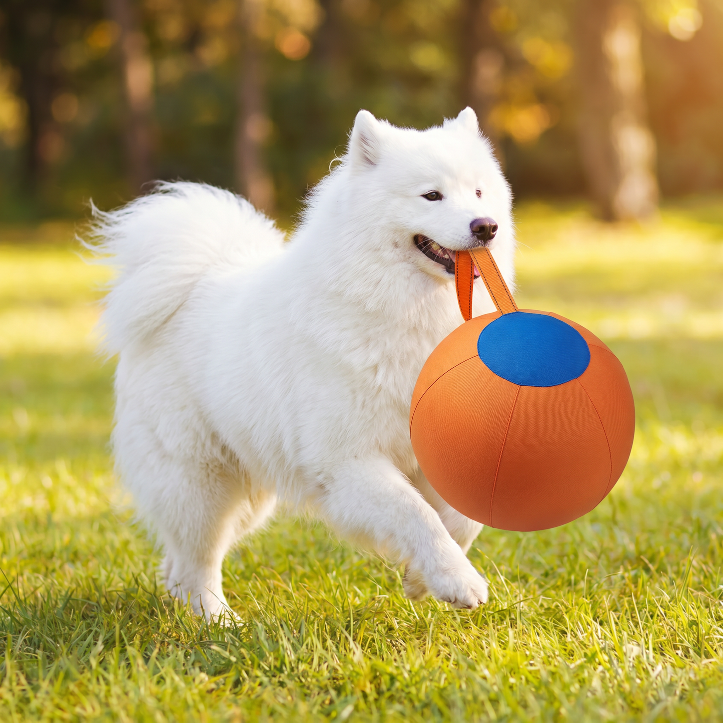 Robuster Trainingsball mit Hülle für Hunde