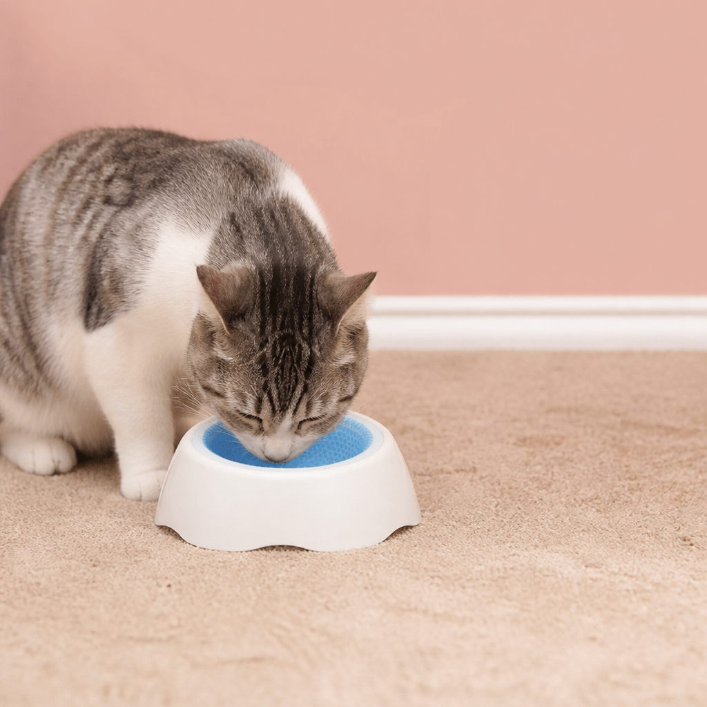 Kühlende Haustier Wasserschüssel für Hunde und Katzen
