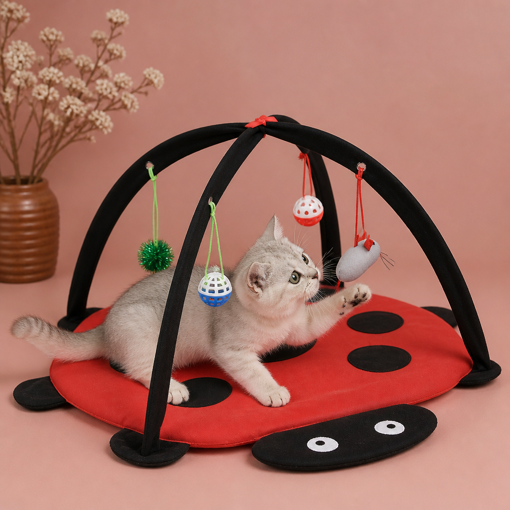 Faltbares Katzen Spielzelt mit hängenden Spielzeugen und Aktivitätsmatte
