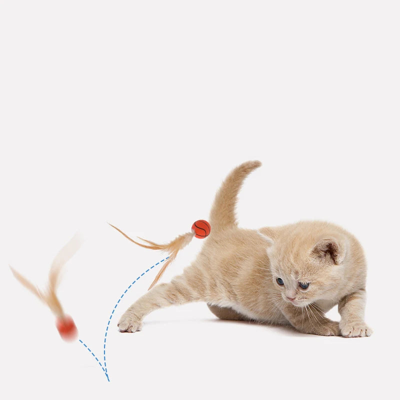 Katzen Gummi Federball Spielzeug