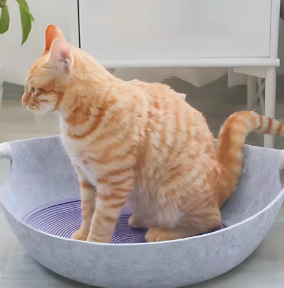 Gemütliches Katzenbett aus Filz mit Tragegriffen