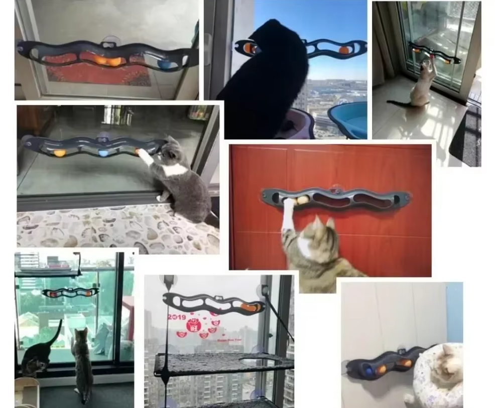 Fenster-katzenspielzeug – Interaktive Spielbahn Mit Beweglichen Bällen