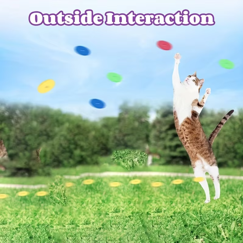 Wurfscheiben-Pistole – Interaktives Katzenspielzeug