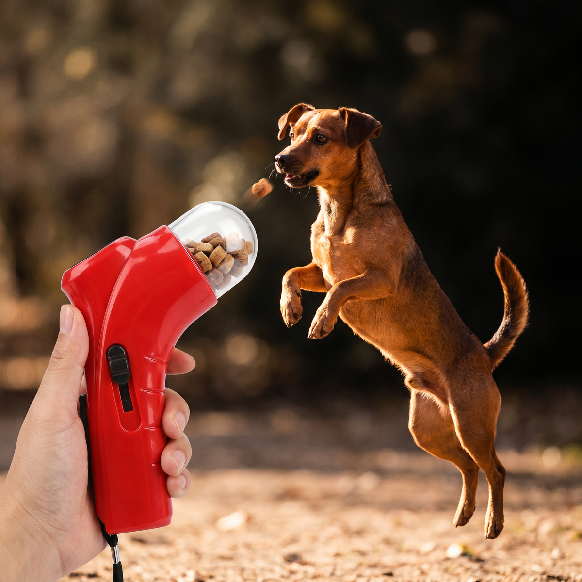 Leckerli-Werfer Pistole für Hunde – Interaktives Training & spielerische Belohnung für unterwegs