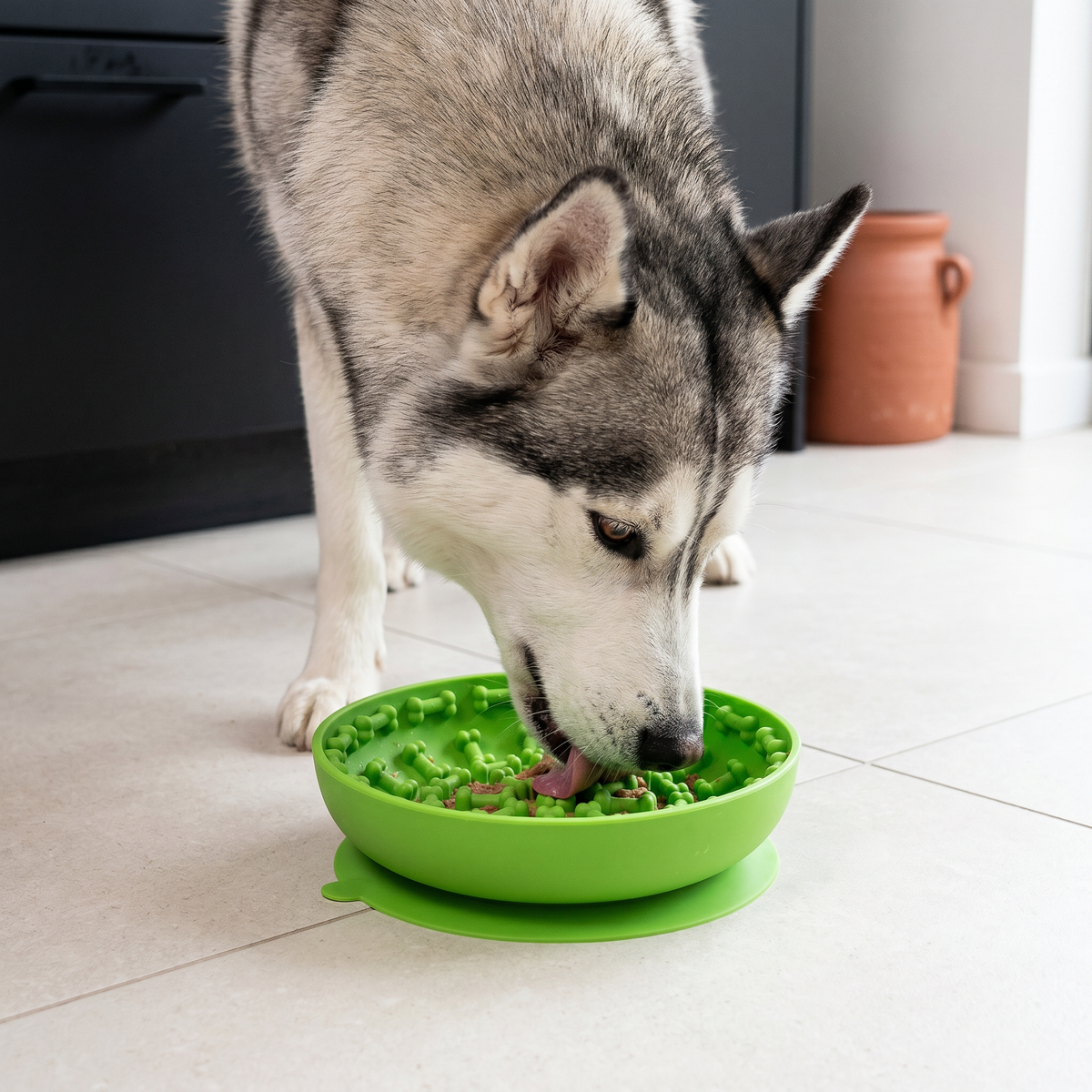Anti-Schlingnapf für Hunde – Schleckmatte aus lebensmittelechtem Silikon mit Saugnäpfen