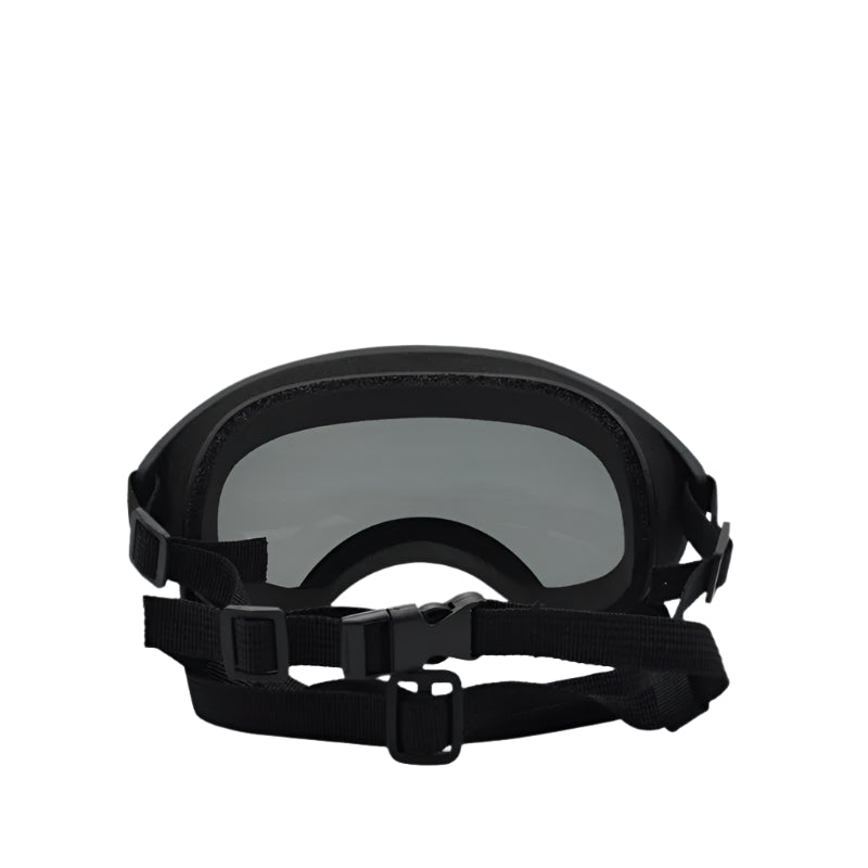 Schutzbrille für Hunde – Stylische Pet Brille mit UV-Schutz in Verschiedenen Farben
