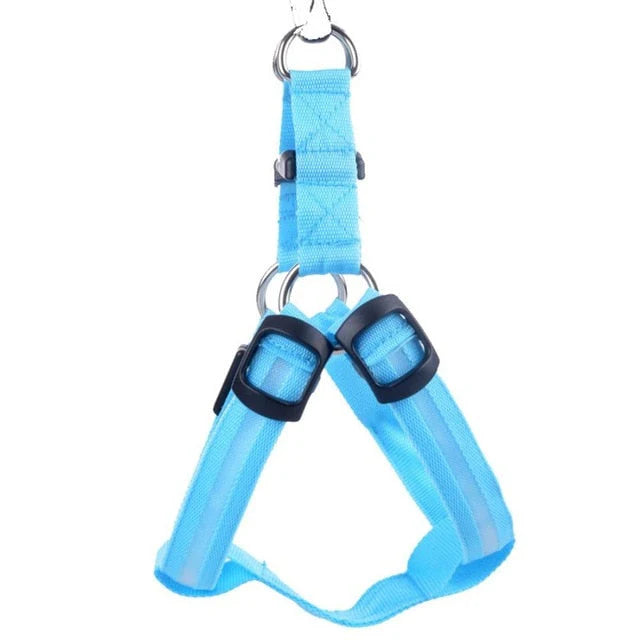 Hundegeschirr mit Leuchtfunktion