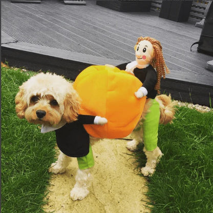 Lustiges Kürbis-halloween-kostüm Für Hunde