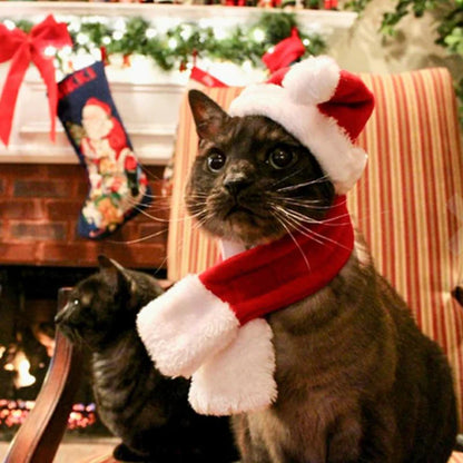 Weihnachtsmütze Mit Schal Für Haustiere