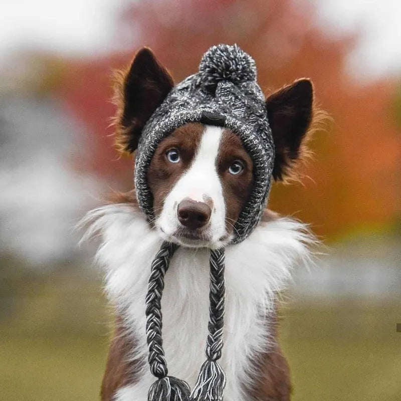 Stylische Hundemütze mit Bommel – Warme Wintermütze für Kleine Hunde