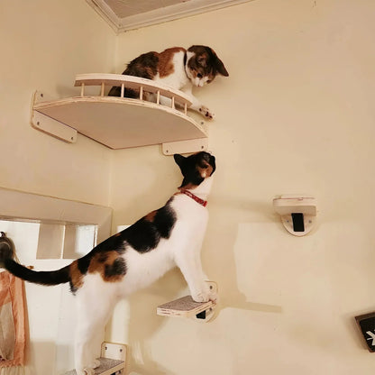 Individuell Zusammenstellbarer Katzen Wand Kratzbaum