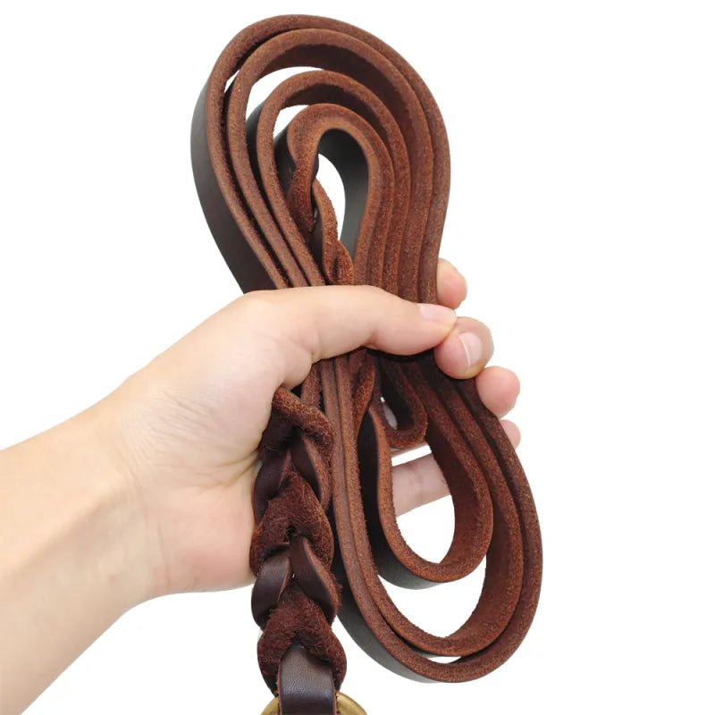 Leder Hundeleine mit Goldener Karabiner – Robustes und Elegantes Hundezubehör