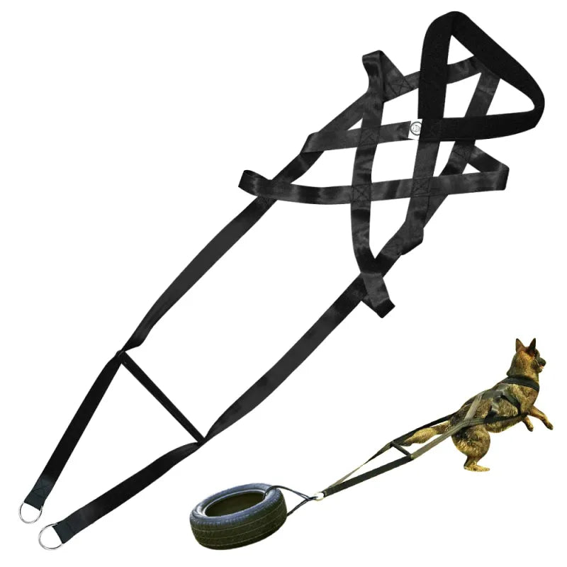 Hundetraining Geschirr mit Zugreifen und Reifen – Robust und Verstellbar