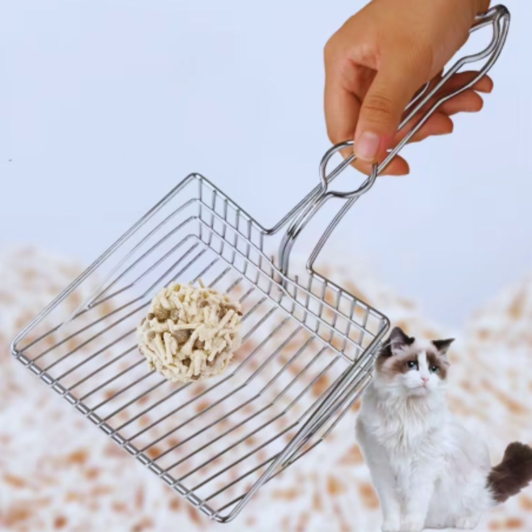 Katzenschaufel Aus Edelstahl für Katzenstreu mit Extra Breiten Schlitzen und Ergonomischem Griff