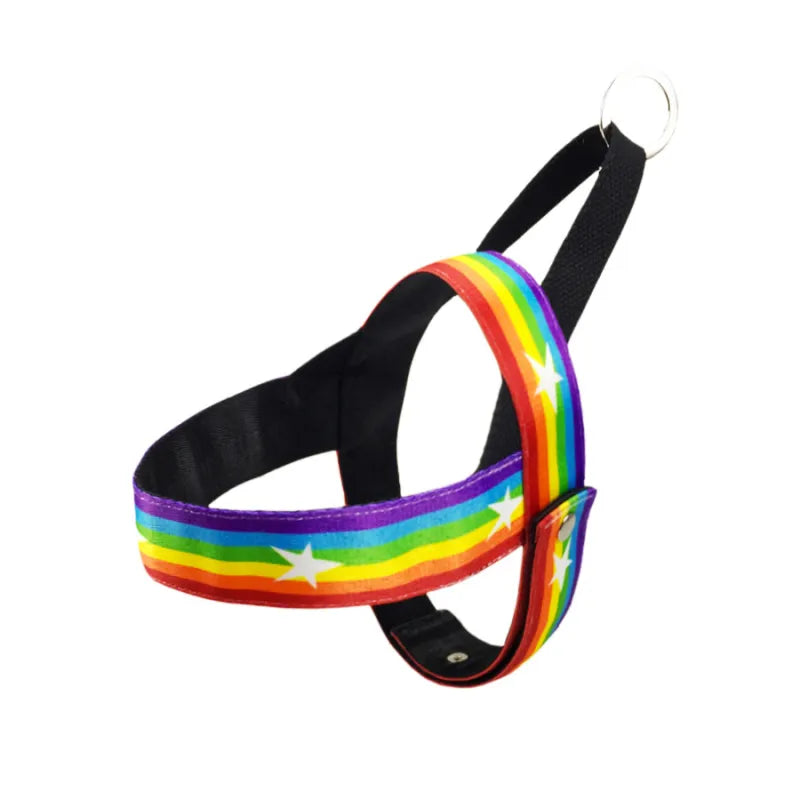 Regenbogen Hundegeschirr mit Sternen – Weich und Verstellbar für Komfort und Sicherheit