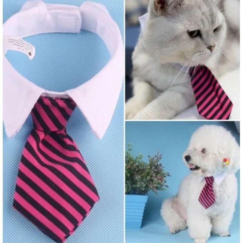 Eleganter Haustier-Kragen mit Krawatte für Hunde und Katzen
