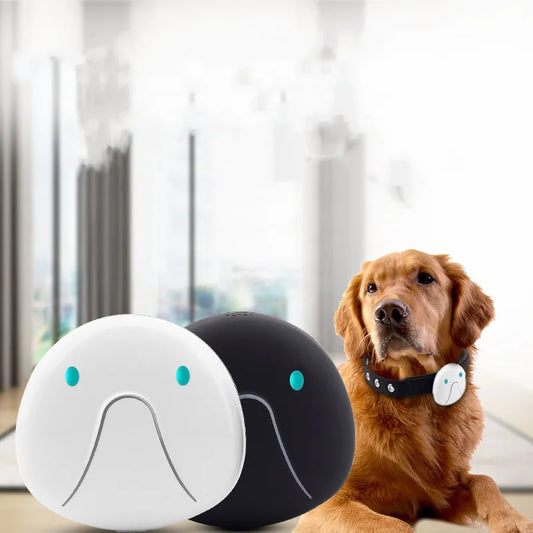 Hundehalsband mit GPS-Tracker – Einfach zu Befestigen und Zuverlässig