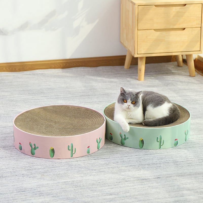 Katzenschleife Aus Karton mit Kaktusdesign – Kratzbrett im Modernen Stil