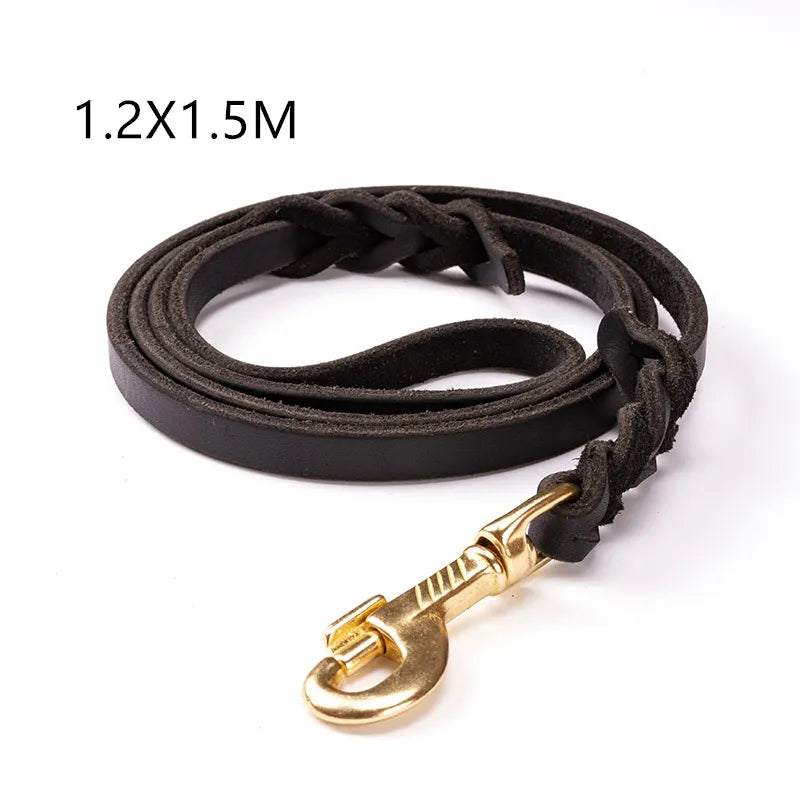 Leder Hundeleine mit Goldener Karabiner – Robustes und Elegantes Hundezubehör
