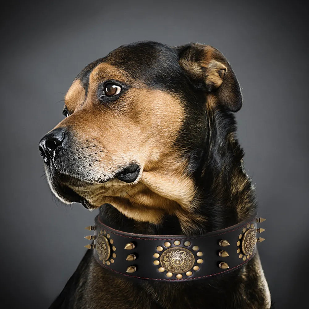 Leder Hundehalsband mit Nieten und Metallverzierungen für Große Hunde