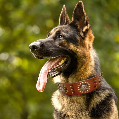 Leder Hundehalsband mit Nieten und Metallverzierungen für Große Hunde