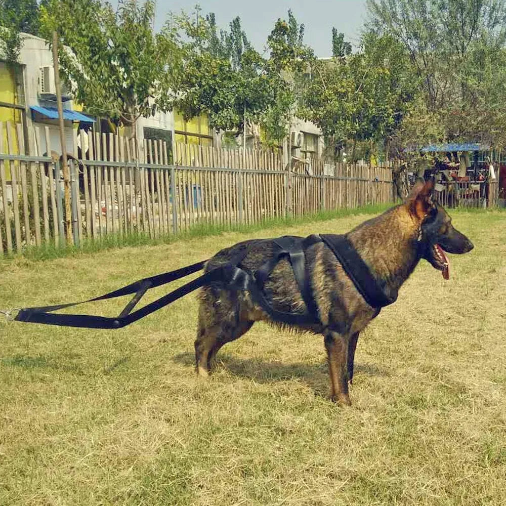 Hundetraining Geschirr mit Zugreifen und Reifen – Robust und Verstellbar