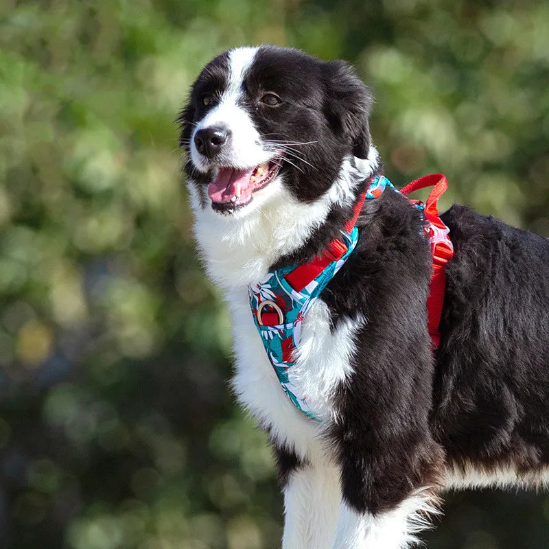 Verstellbares Hundegeschirr mit tropischem Muster und Gepolsterter Brustpartie – Ideal für Aktive Hunde