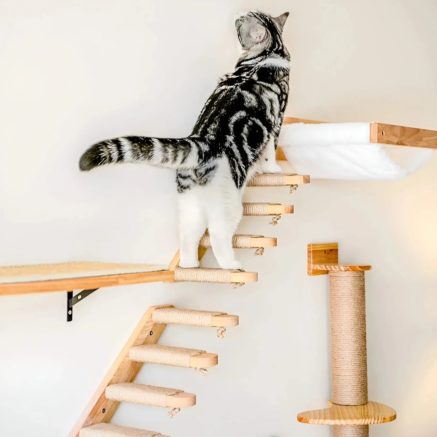 Individuell Zusammenstellbarer Katzen Wand Kratzbaum