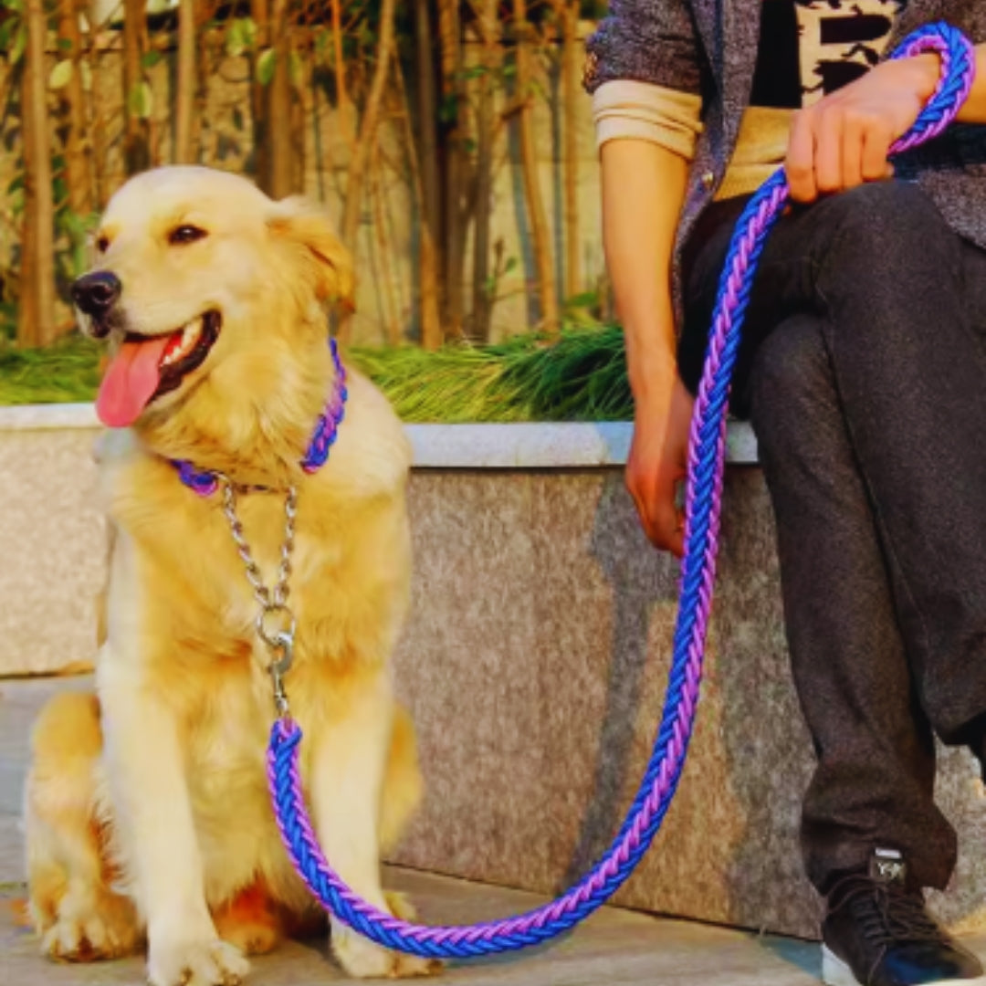 Geflochtenes Hundehalsband mit Führleine und Kettenglied – Robustes Trainingsset für Mittelgroße und Große Hunde