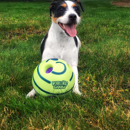 Kreativer Hundespielball mit interaktiven Funktionen