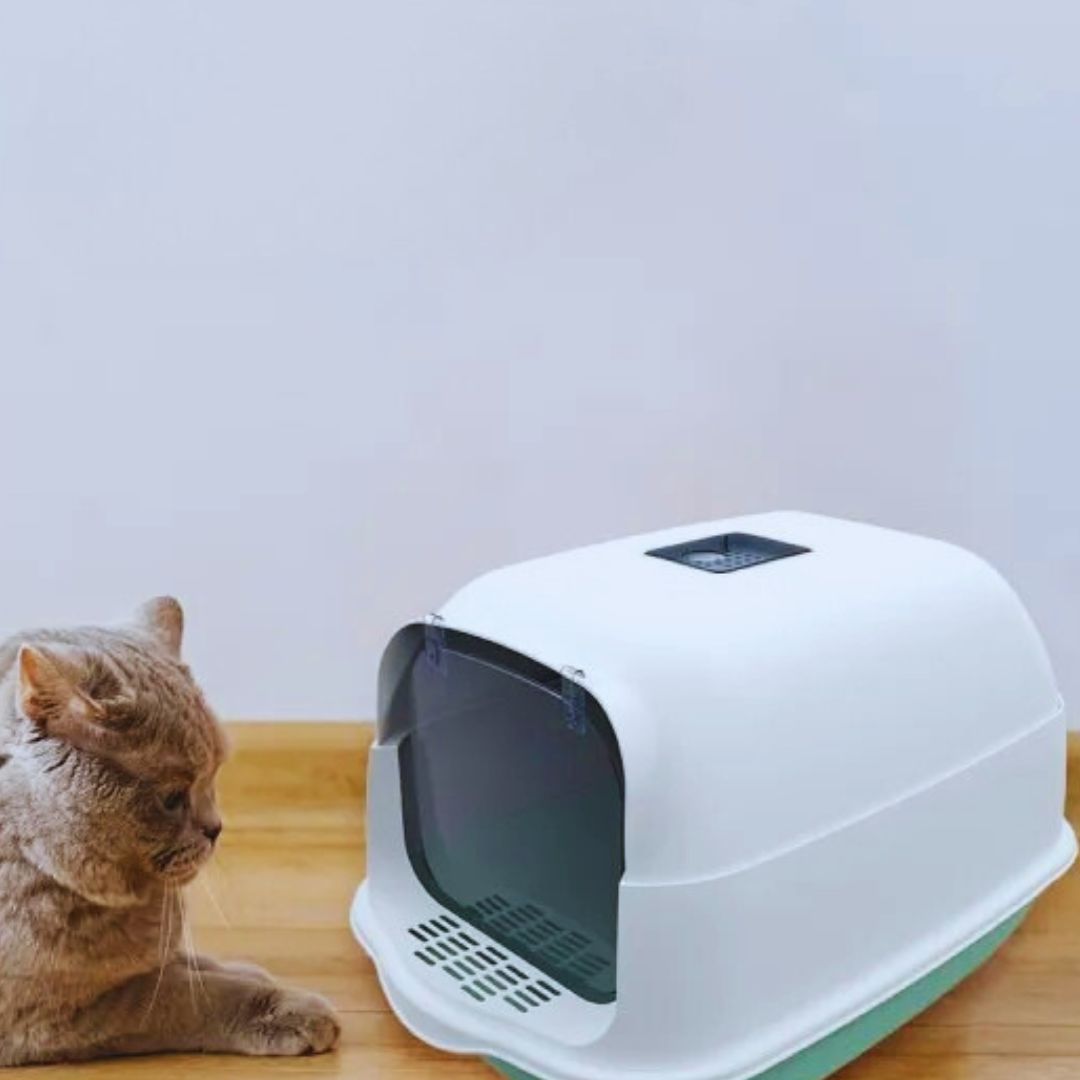 Katzenklo mit Geruchsisolierendem Deckel – Sichere und komfortable Toilette für Empfindliche Katzen