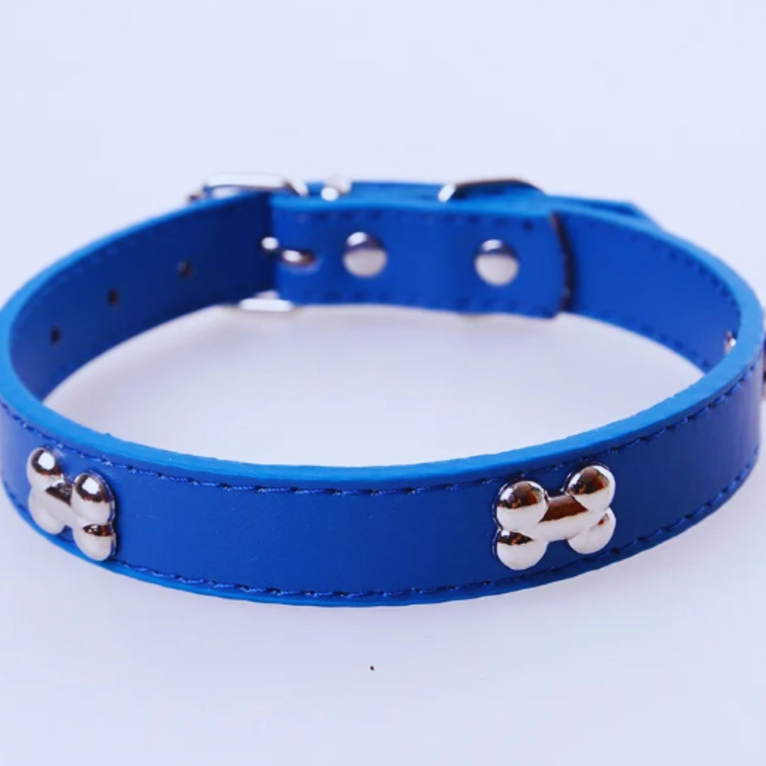 Hundehalsband mit Knochen-Nieten für kleine und mittelgroße Hunde