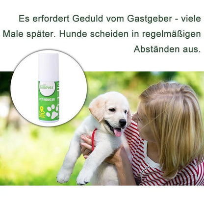 Anleitung Zur Gezielten Platzierung Der Haustiertoilette