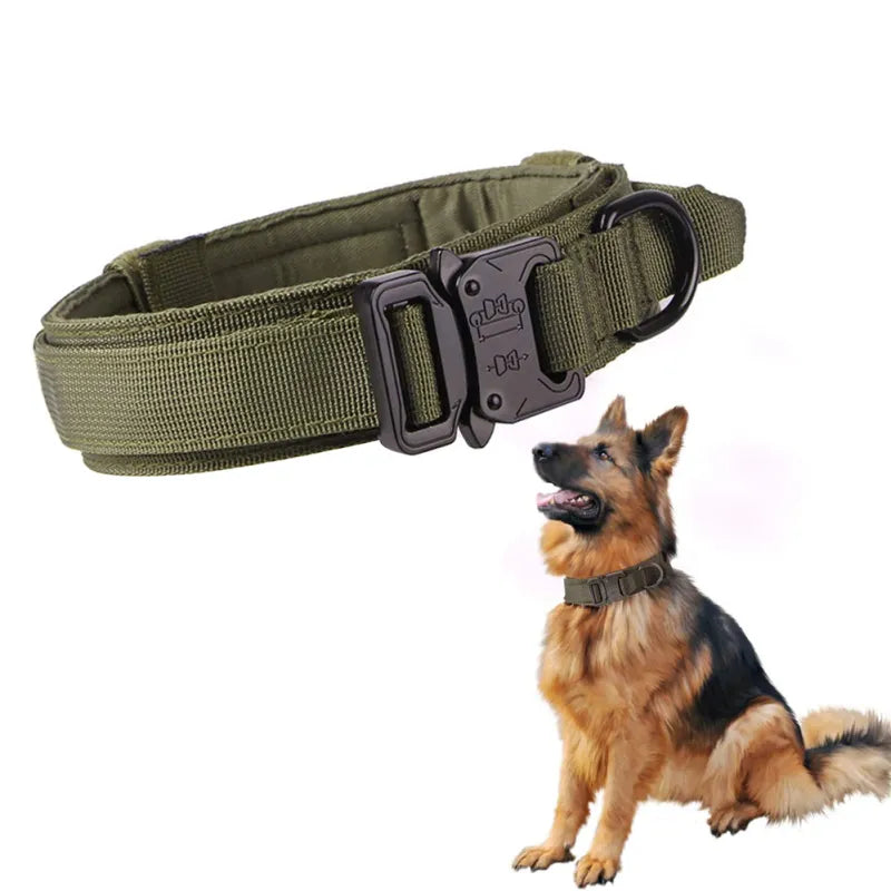 Verstellbares Nylon Hundehalsband mit Robustem Klickverschluss