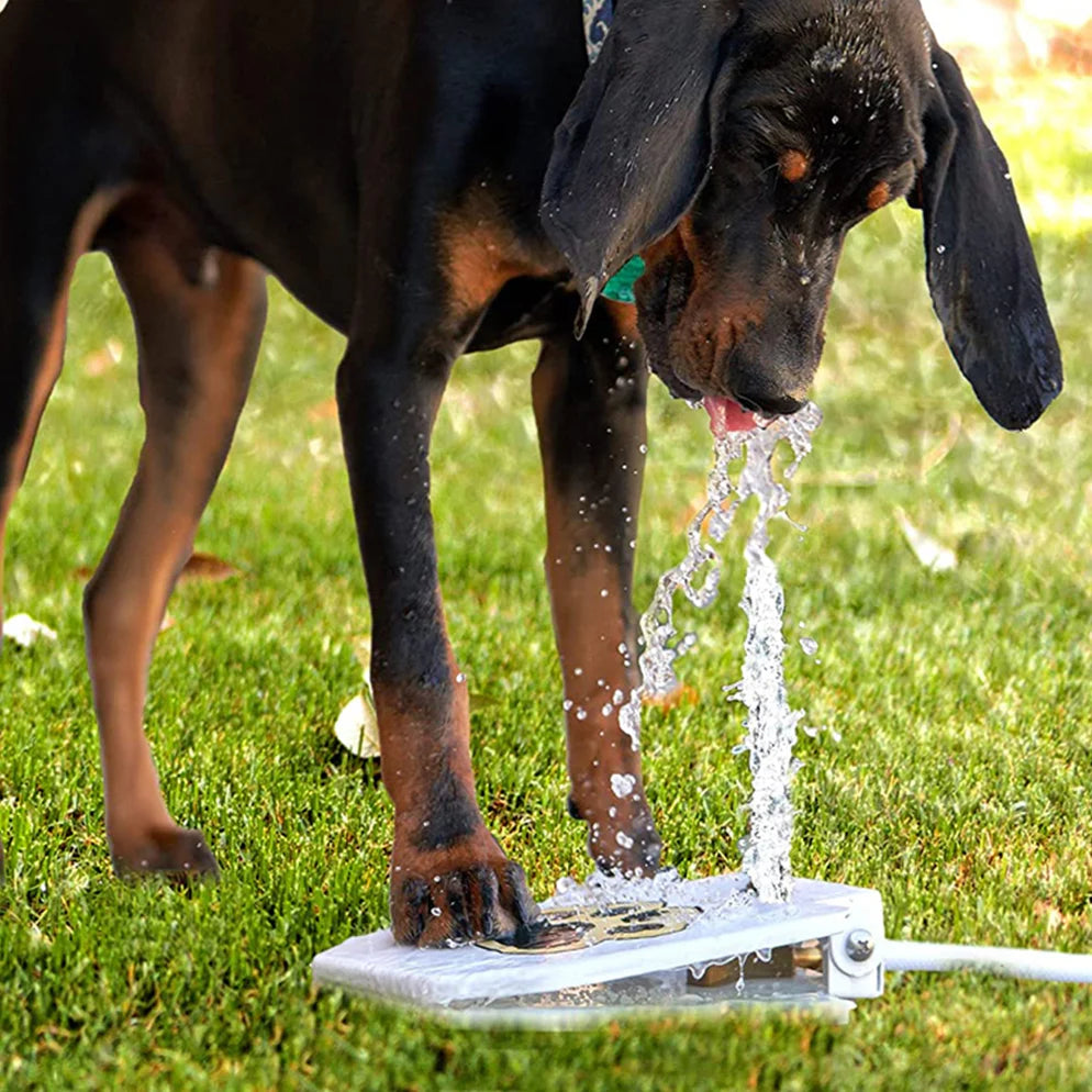 Interaktives Hundespielzeug mit Sprühfontäne