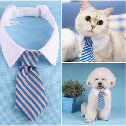 Eleganter Haustier-Kragen mit Krawatte für Hunde und Katzen