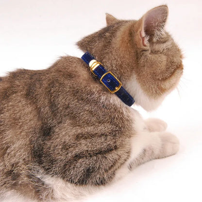Velours Katzenhalsband mit Goldener Schnalle – Weich Verstellbar und Elegant