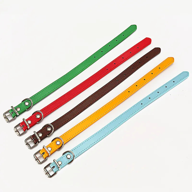 Buntes Lederhalsband für Hunde – Verstellbar und Strapazierfähig