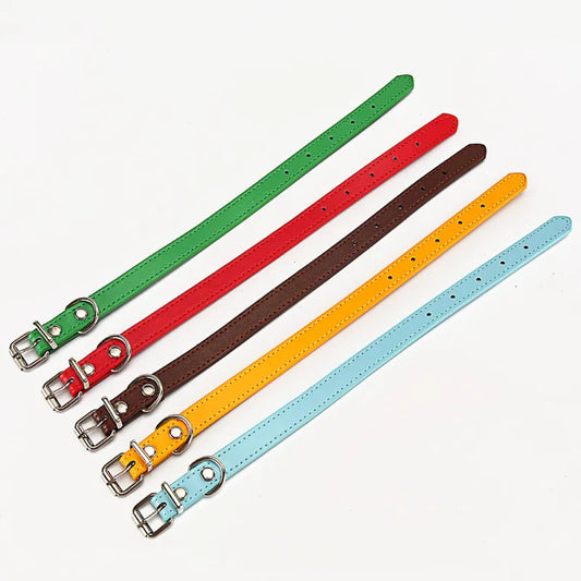 Buntes Lederhalsband für Hunde – Verstellbar und Strapazierfähig