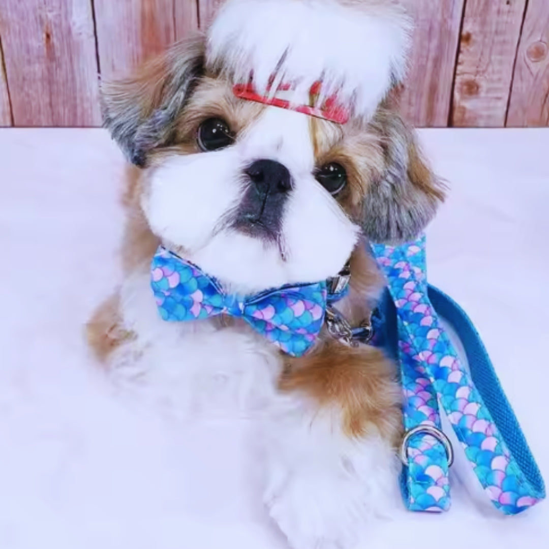 Verstellbares Hundehalsband mit Meerjungfrauen-Muster und Metallverschluss