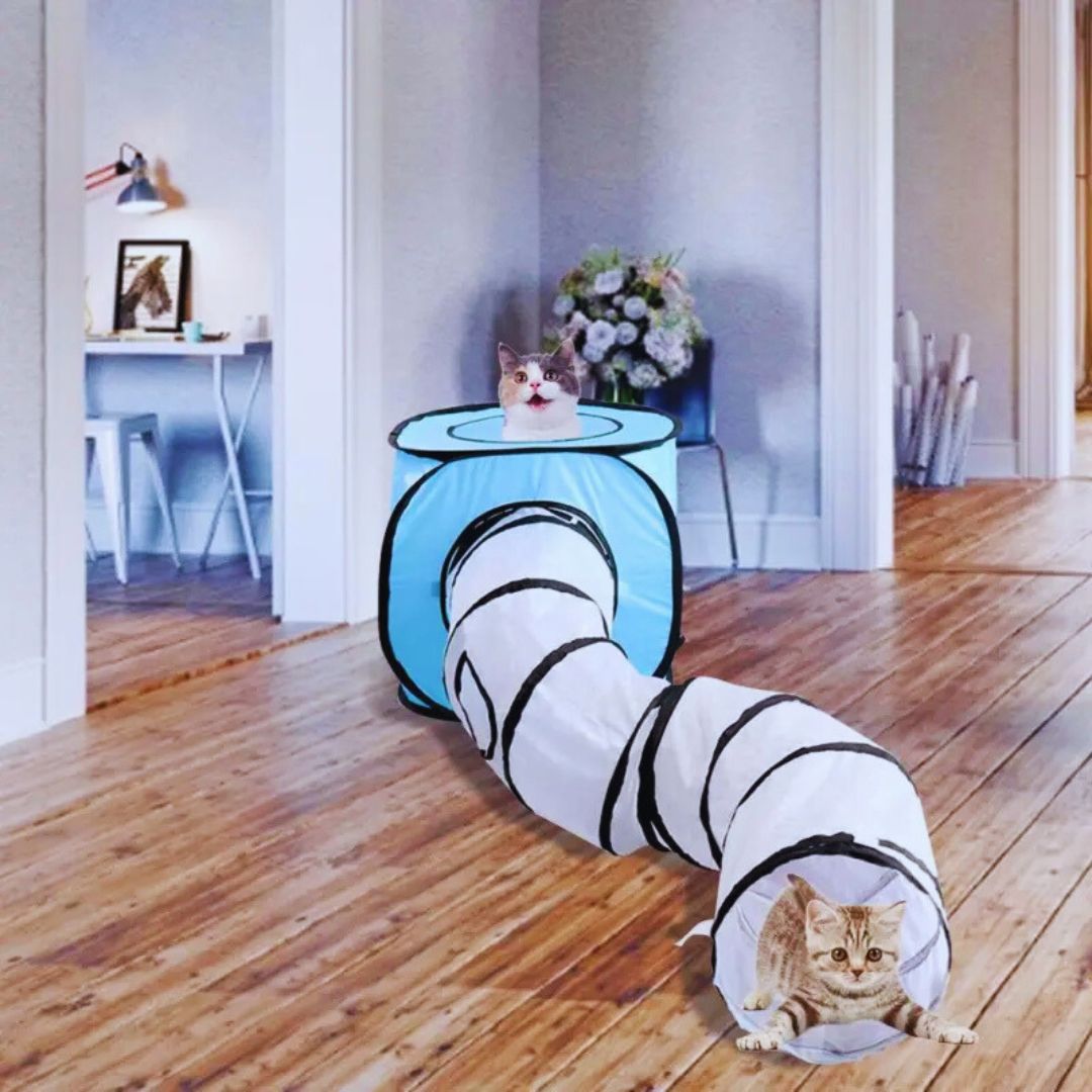 Krabben- und Spieltunnel für Katzen – Interaktive Spielröhre mit Versteck