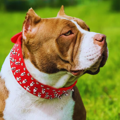 HundeStachelhalsband mit Nieten für Mittelgroße und Große Hunde Im Punk-Design