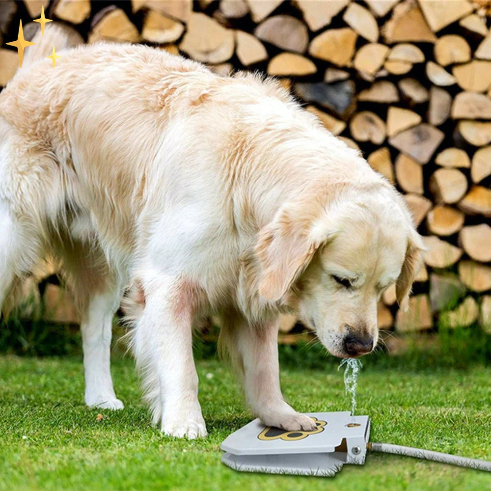 Interaktives Hundespielzeug mit Sprühfontäne