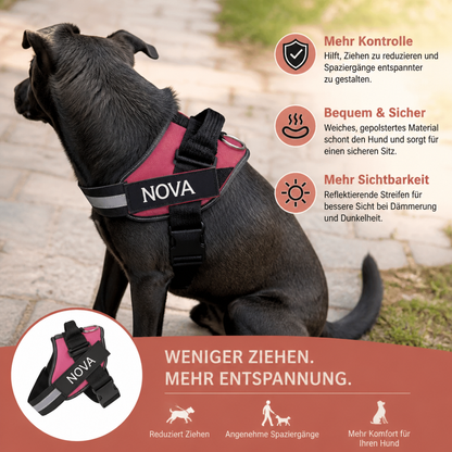 Personalisiertes Anti-Zug-Hundegeschirr für entspanntere Spaziergänge