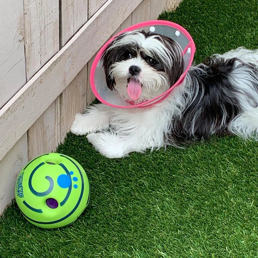Kreativer Hundespielball mit interaktiven Funktionen