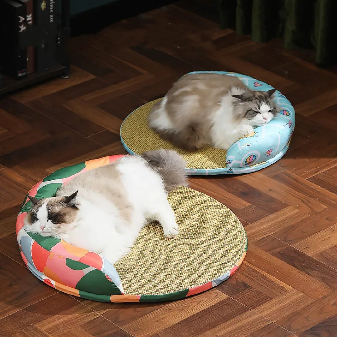 Stilvolles Katzenbett mit Rand – Bequemes Rundbett für Katzen und Kleine Hunde